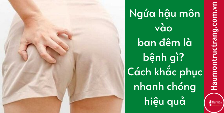 Ngứa hậu môn vào ban đêm là bệnh gì? Cách khắc phục nhanh chóng hiệu quả