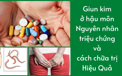 Giun kim ở hậu môn: Nguyên nhân, triệu chứng và cách chữa trị