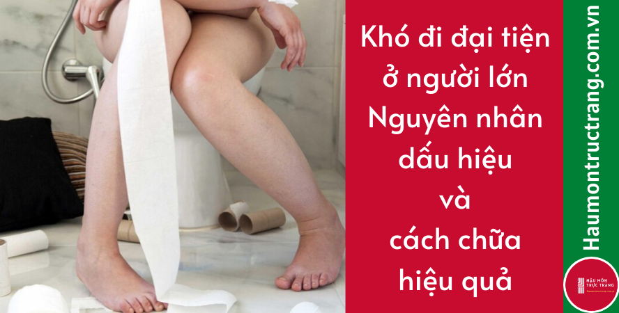 Khó đi đại tiện ở người lớn – Nguyên nhân, dấu hiệu và cách chữa hiệu quả