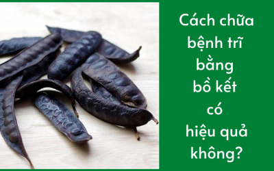 Cách chữa bệnh trĩ bằng bồ kết có hiệu quả không?