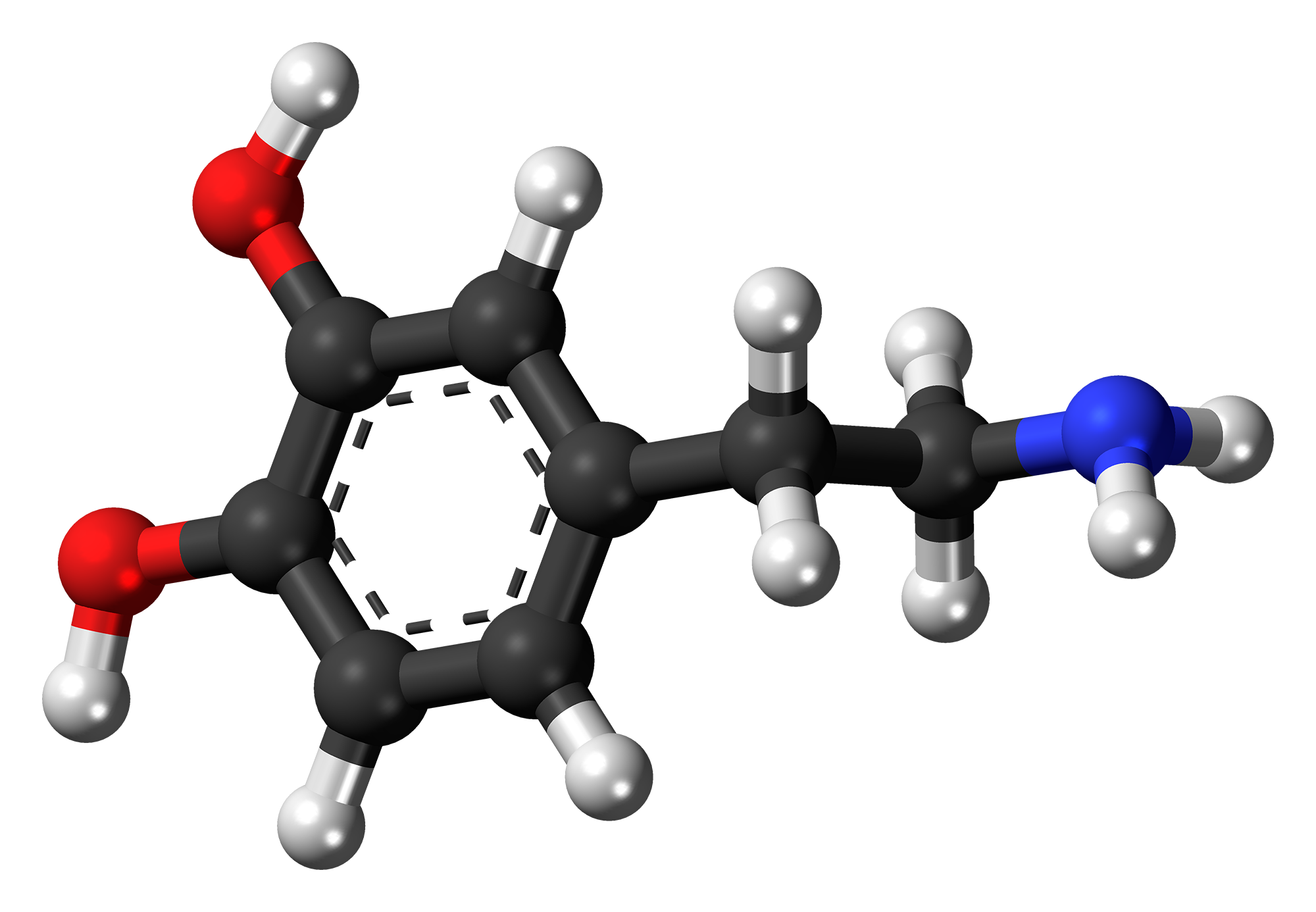 Một số hóa chất hữu cơ thuộc họ phenethylamine và catecholamine