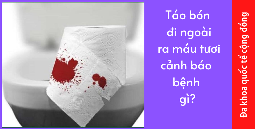 Táo bón đi ngoài ra máu tươi cảnh báo bệnh gì?