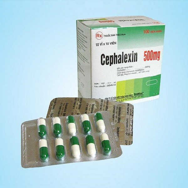 Thuốc kháng sinh Cephalexin