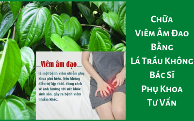 Chữa Viêm Âm Đao Bằng Lá Trầu Không – Bác Sĩ Phụ Khoa Tư Vấn