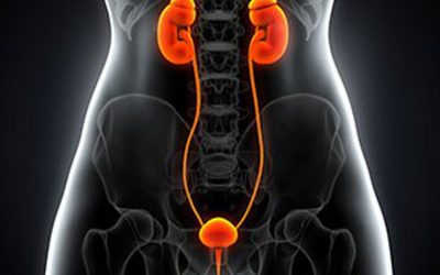 Hội Chứng Niệu Đạo Cấp Là Gì? Bác Sĩ Giải Đáp