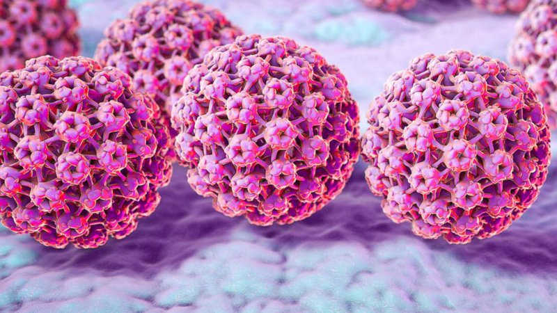 Virus HPV gây sùi mào gà