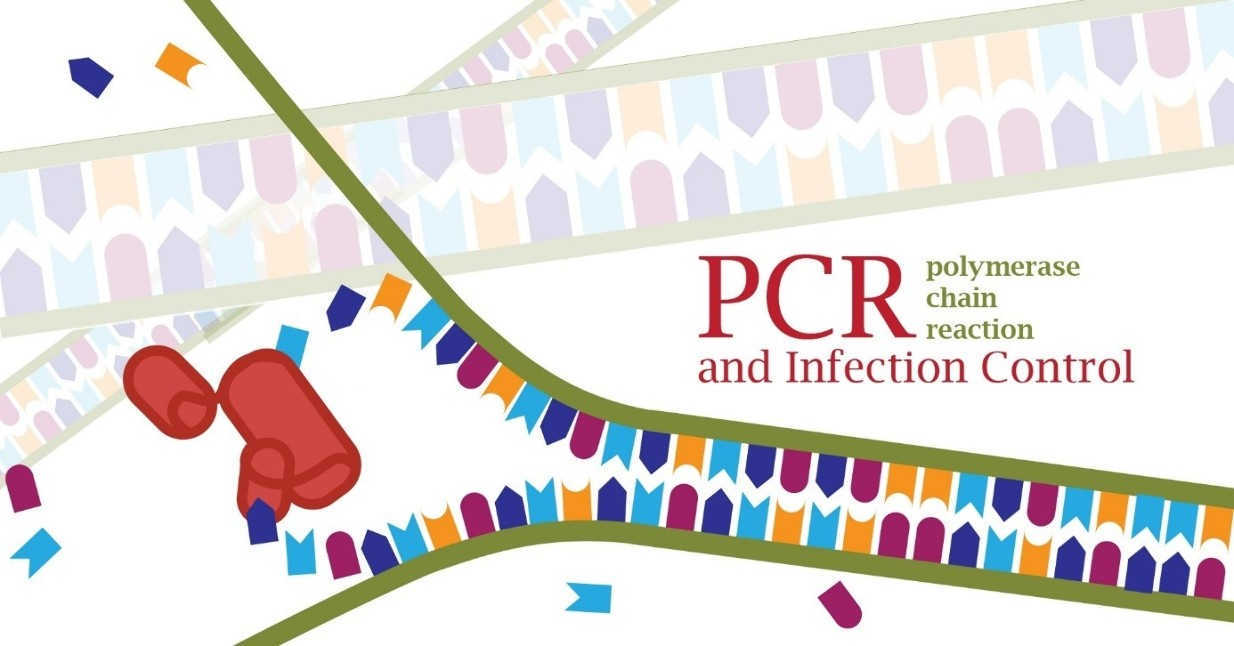 PCR – realtime khuếch đại DNA định danh chủng gây bệnh