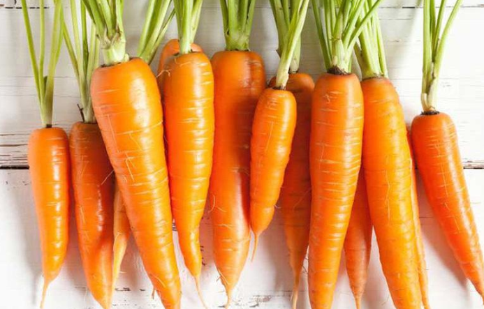 Cà rốt thực phẩm tốt cho tinh trùng và trứng