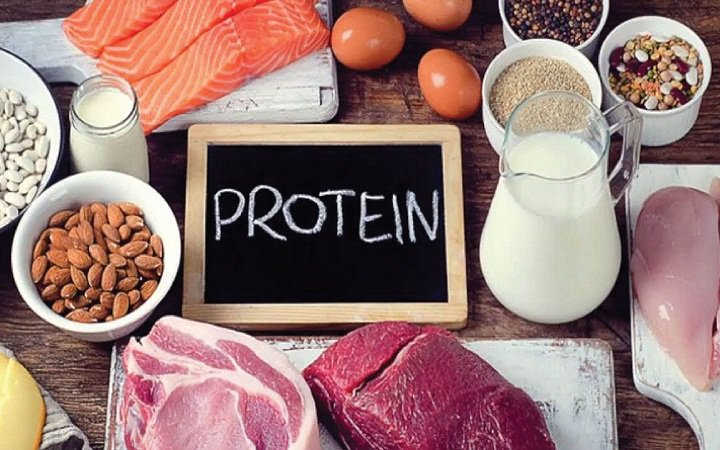 Protein (đạm)