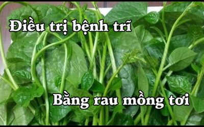 [BẬT MÍ] 3 cách chữa bệnh trĩ bằng rau mồng tơi tại nhà