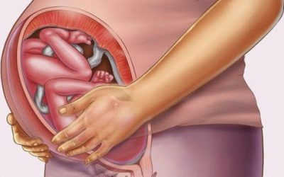 [Mách nhỏ] Dấu hiệu sắp sinh trước 1 tuần dành cho mẹ bầu