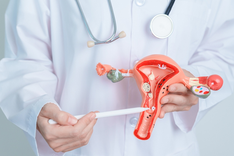 Viêm Lộ Tuyến Khám Ở Đâu? 5 Địa Chỉ Nên Thăm Khám Tại Hà Nội