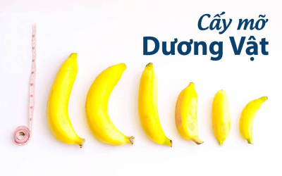 Làm to dương vật bằng mỡ tự thân có an toàn?