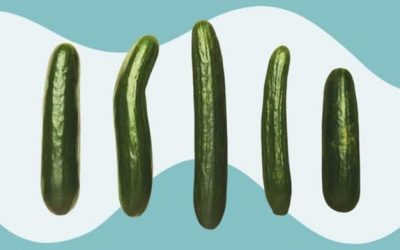 Dương vật không cương hết cỡ ở nam giới, nguyên nhân do đâu?