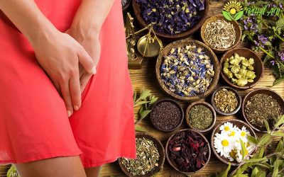 Mách chị em 5 bài thuốc dân gian chữa viêm lộ tuyến