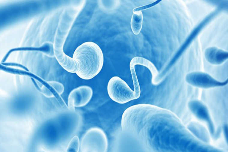 Xuất tinh sớm ảnh hưởng thế nào đến tinh trùng