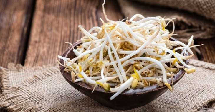 Liệu ăn giá đỗ có tốt cho tinh trùng không? Lợi ích mà giá đỗ đem lại