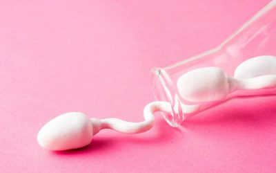 Tìm hiểu 15 tác dụng của tinh trùng không phải ai cũng biết