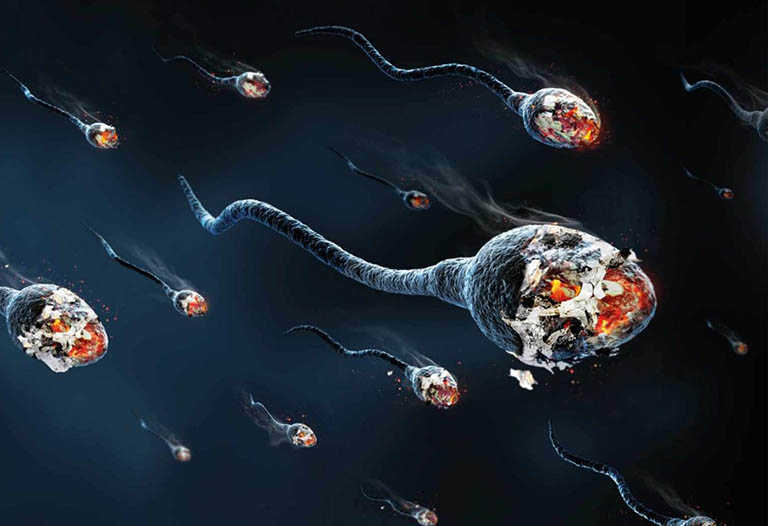 Tinh trùng dị dạng có thụ thai được không
