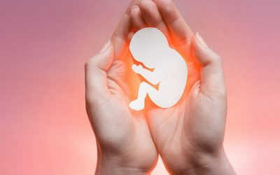 [Giải đáp] Tinh trùng gặp trứng bao lâu thì thụ thai?