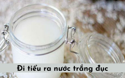 Đi tiểu ra nước trắng đục: Nguyên nhân và cách điều trị
