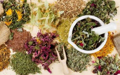 Hé lộ cách chữa xuất tinh sớm bằng thuốc nam hiệu quả cho phái mạnh