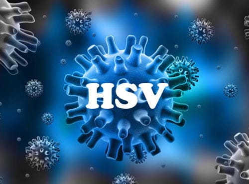 HSV gây mụn rộp sinh dục