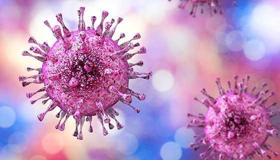 Virus HSV gây mụn rộp sinh dục