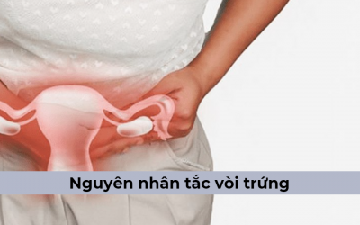 Đâu là nguyên nhân bị tắc vòi trứng? Chữa bệnh này bằng cách nào?