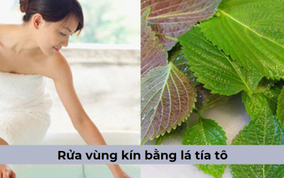 [Chuyên gia giải đáp] Có nên rửa vùng kín bằng lá tía tô hay không?