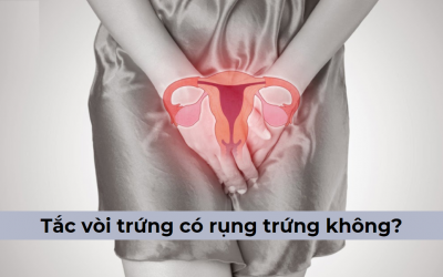 Bị tắc vòi trứng có rụng trứng không? Có thai được không? [Giải đáp]