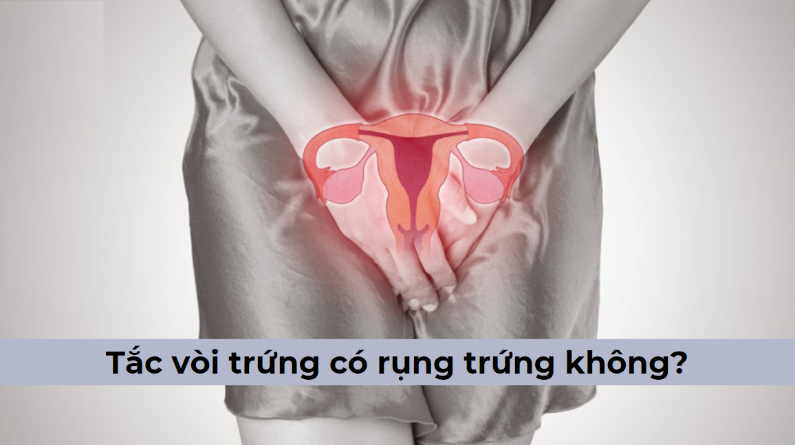 Bị tắc vòi trứng có rụng trứng không? Có thai được không? [Giải đáp]