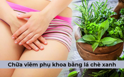 [CHIA SẺ] Các cách chữa viêm phụ khoa bằng lá chè xanh 