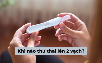 Giải đáp thắc mắc: Khi nào thử thai lên 2 vạch là kết quả chính xác?