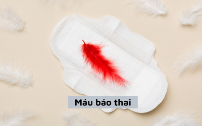 Tổng hợp thông tin liên quan đến máu báo thai mà chị em cần biết