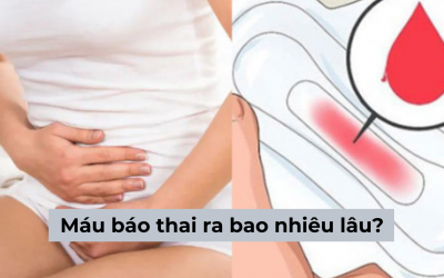 Giải đáp thắc mắc: Máu báo thai ra bao nhiêu lâu mới ngừng?