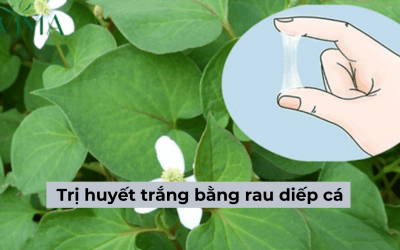 Cách trị huyết trắng bằng rau diếp cá có tốt không – Có nên áp dụng? 