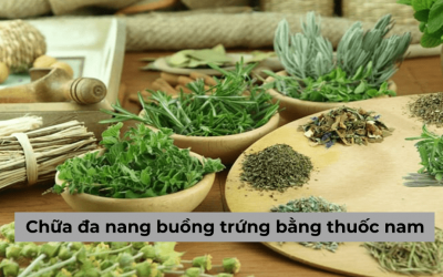 Chữa đa nang buồng trứng bằng thuốc nam có hiệu quả không?
