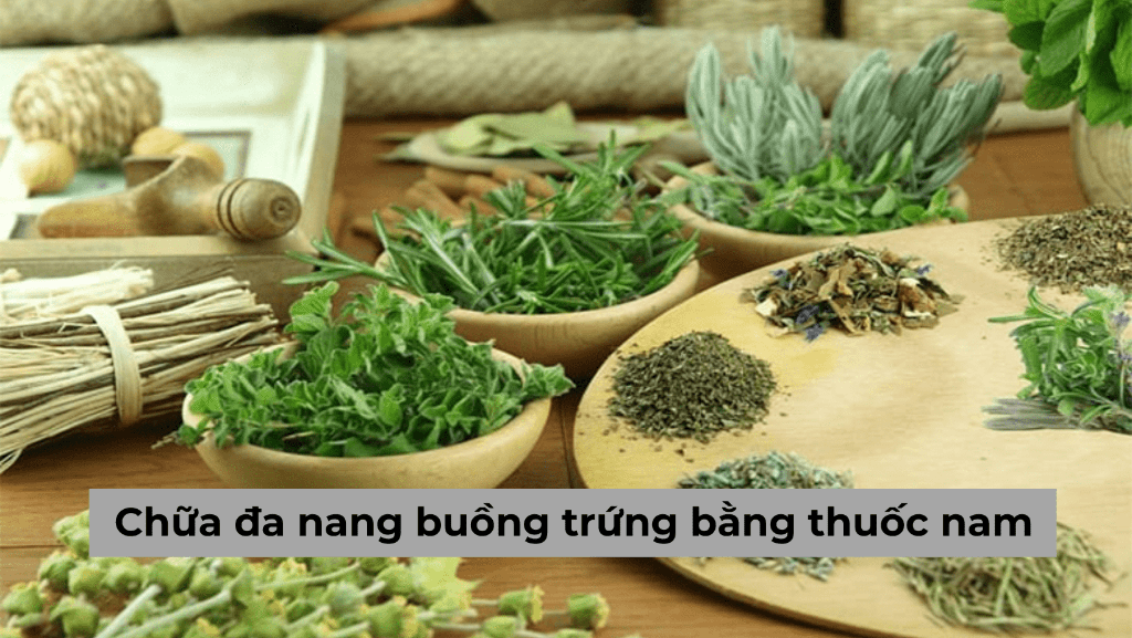 Chữa đa nang buồng trứng bằng thuốc nam có hiệu quả không?