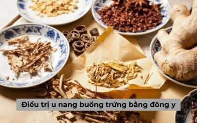 Tổng hợp cách điều trị u nang buồng trứng bằng đông y