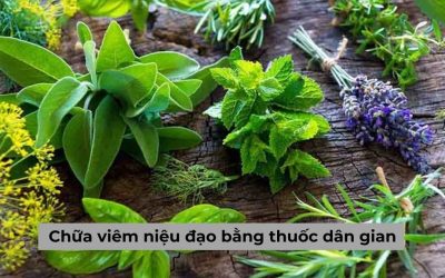 [Bật mí] Một số cách chữa viêm niệu đạo bằng thuốc dân gian