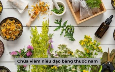 Chữa viêm niệu đạo bằng thuốc nam có an toàn như mọi người nghĩ?