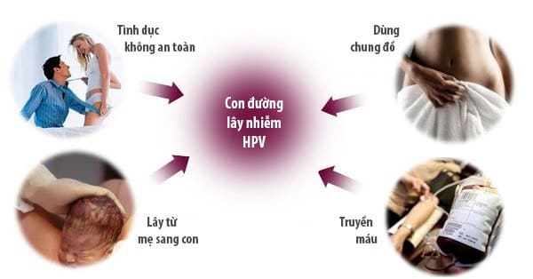 Con đường lây bệnh sùi mào gà