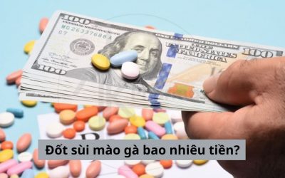 [Giải đáp thắc mắc] Đốt sùi mào gà bao nhiêu tiền?
