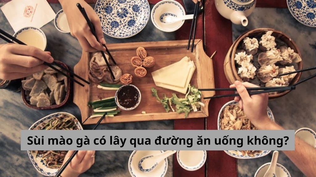 [ Giải đáp thắc mắc] Sùi mào gà có lây qua đường ăn uống không?