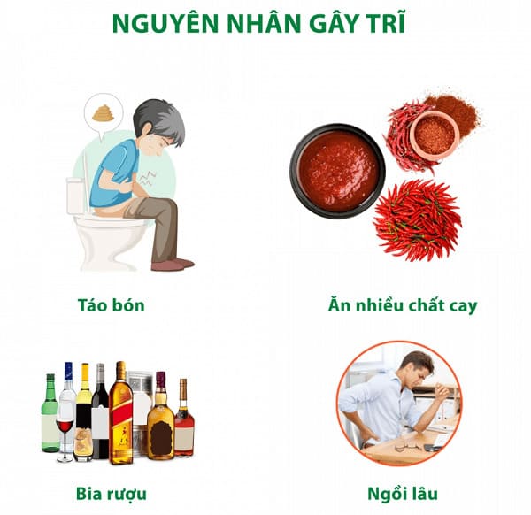 Nguyên nhân bệnh trĩ là gì?