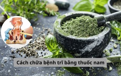 Cập nhật từ A – Z về cách chữa bệnh trĩ bằng thuốc nam