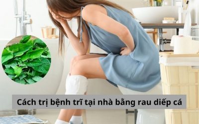 Cách trị bệnh trĩ tại nhà bằng rau diếp cá như thế nào để hiệu quả?
