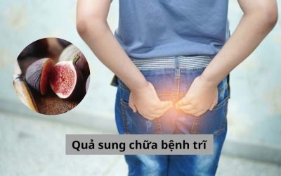 Quả sung chữa bệnh trĩ như thế nào? Có nên áp dụng không?