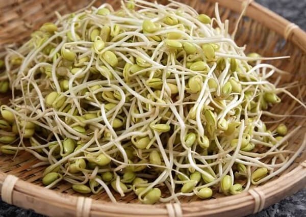 Ăn gì tốt cho tinh hoàn? - Giá đỗ